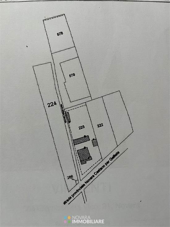 MAPPALE